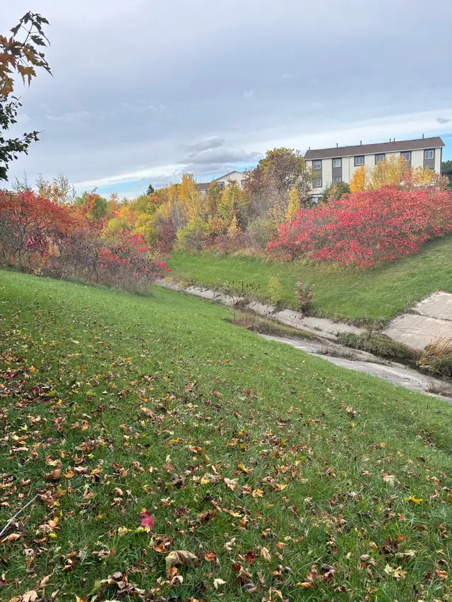 Room for Rent - Photo 7