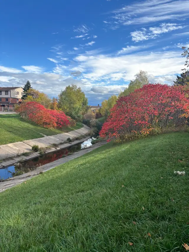 Room for Rent - Photo 8