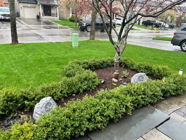 LAWN MAINTENANCE - Photo 2