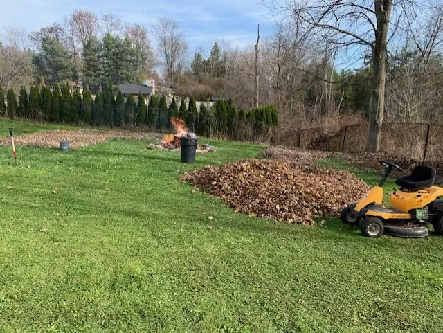 LAWN MAINTENANCE - Photo 7