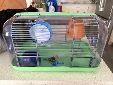cage hamster ou souris