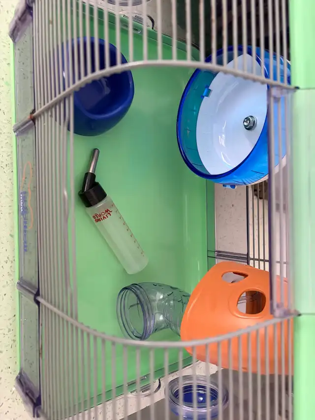 cage hamster ou souris - Photo 2