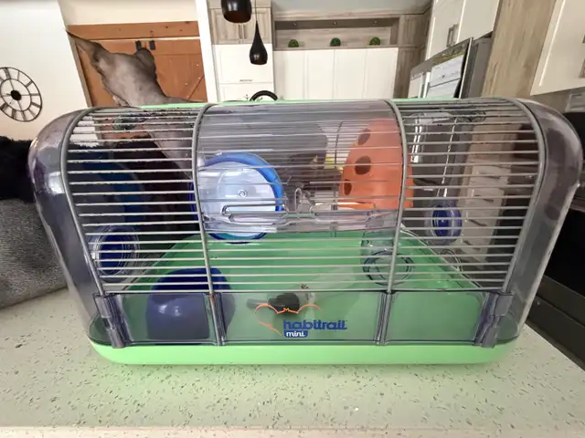 cage hamster ou souris - Photo 4