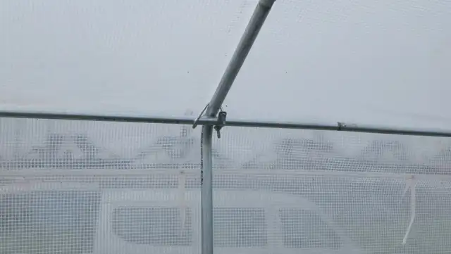 Large 30x80 Tunnel Greenhouse - Photo 2