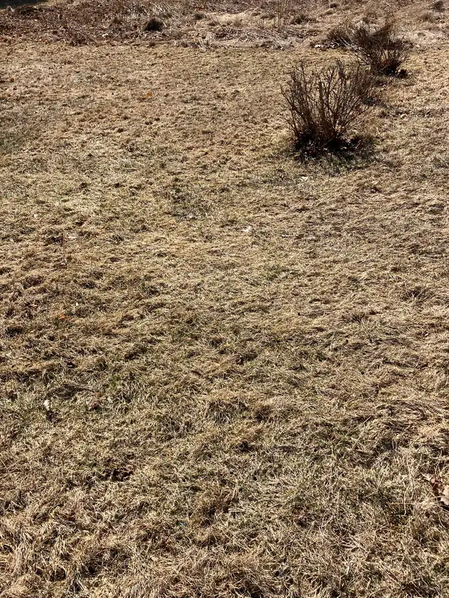 Land for sale - Photo 2