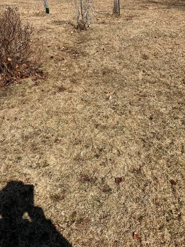 Land for sale - Photo 3