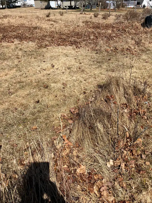 Land for sale - Photo 4