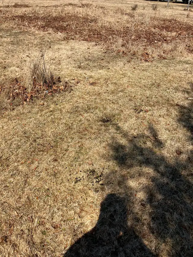 Land for sale - Photo 5