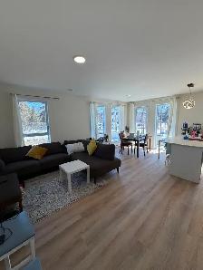 GREAT 2-BEDROOM IN DORVAL - NEW CONSTRUCTION - PETS ALLOWED