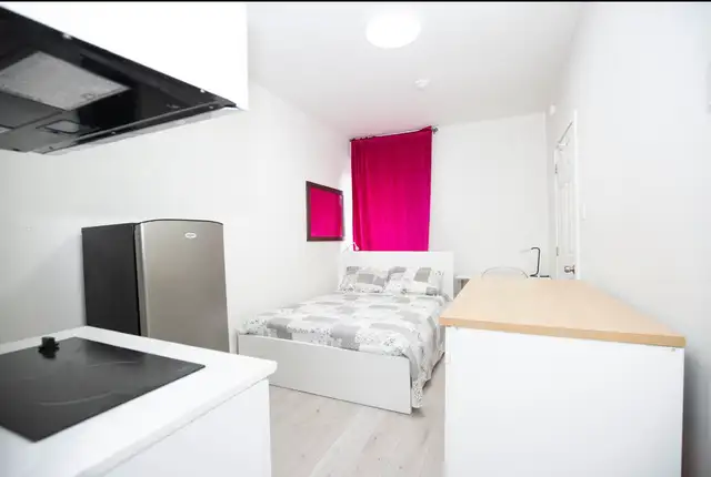 Furnished Stufio Downtown