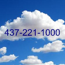 Toronto 437 647 416 Numbers and other area codes sale