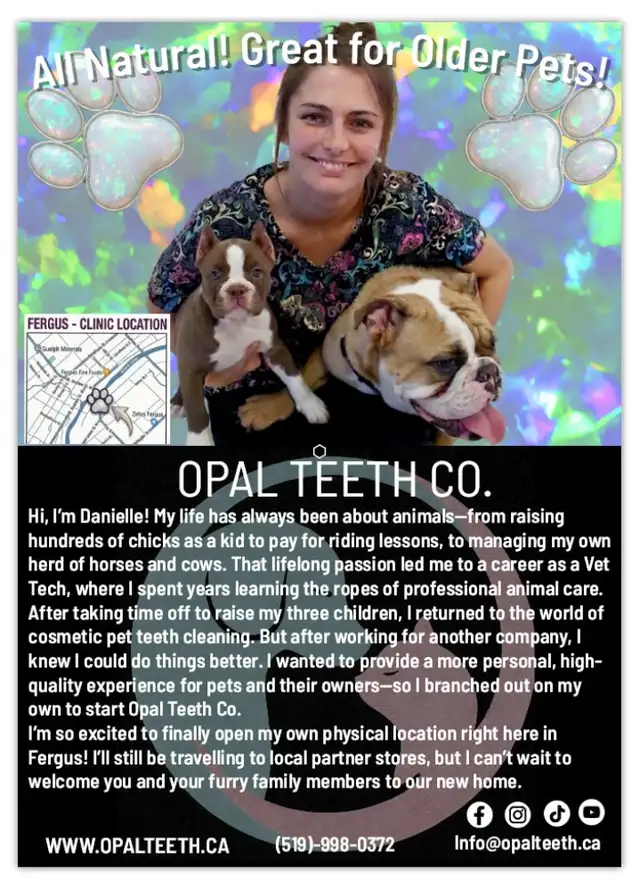 Pet Teeth Cleaning