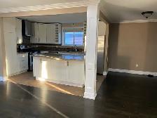 bunglow house for rent