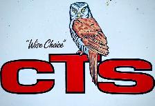 Coughlan Tree Service