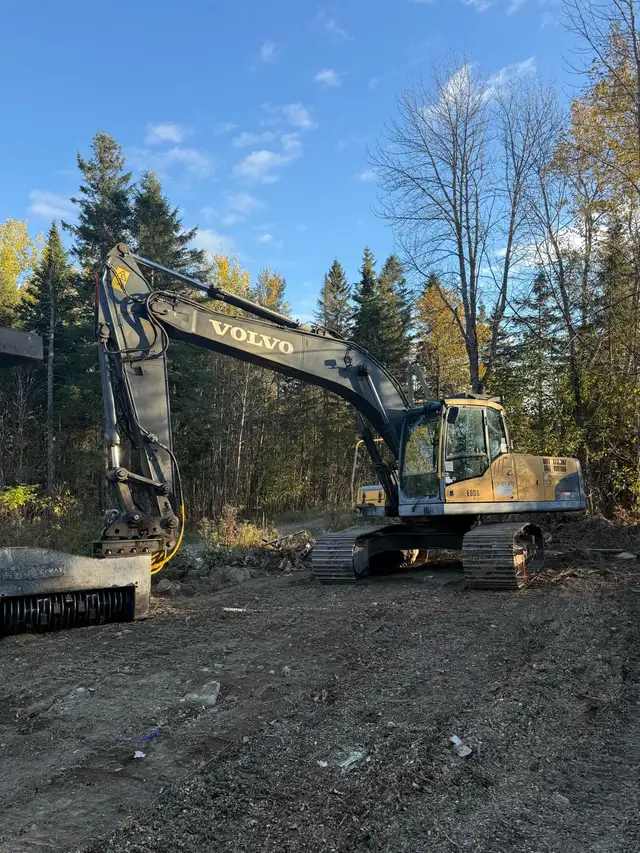 Coughlan Tree Service - Photo 2