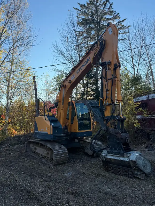 Coughlan Tree Service - Photo 3