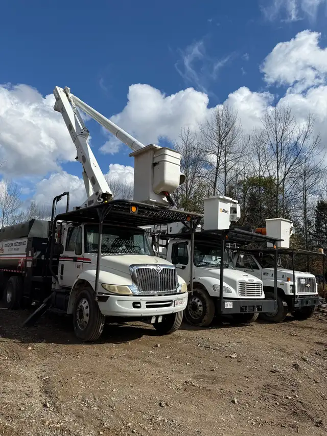 Coughlan Tree Service - Photo 5