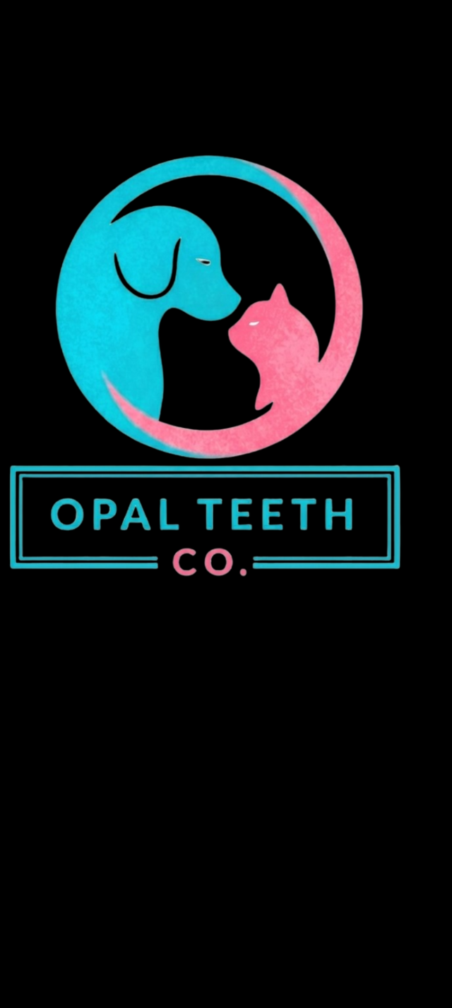 Cosmetic Teeth Cleaning for Pets - Photo 7