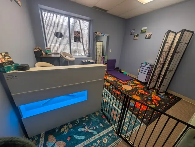 Cosmetic Teeth Cleaning for Pets - Photo 9