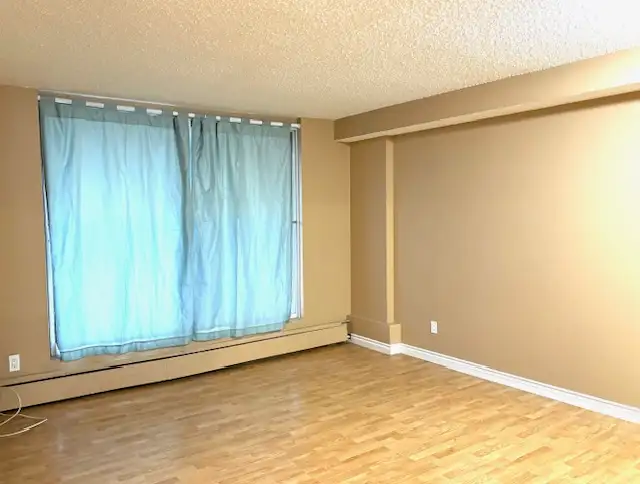 Northeast Edmonton 1 bedroom apartment for rent $1300/month. - Photo 2