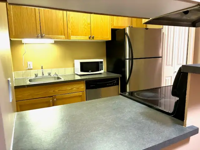 Northeast Edmonton 1 bedroom apartment for rent $1300/month. - Photo 3