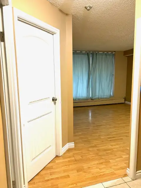 Northeast Edmonton 1 bedroom apartment for rent $1300/month. - Photo 6