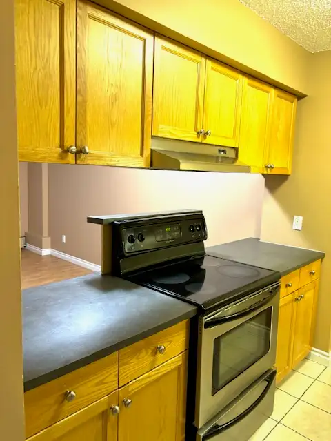 Northeast Edmonton 1 bedroom apartment for rent $1300/month. - Photo 9