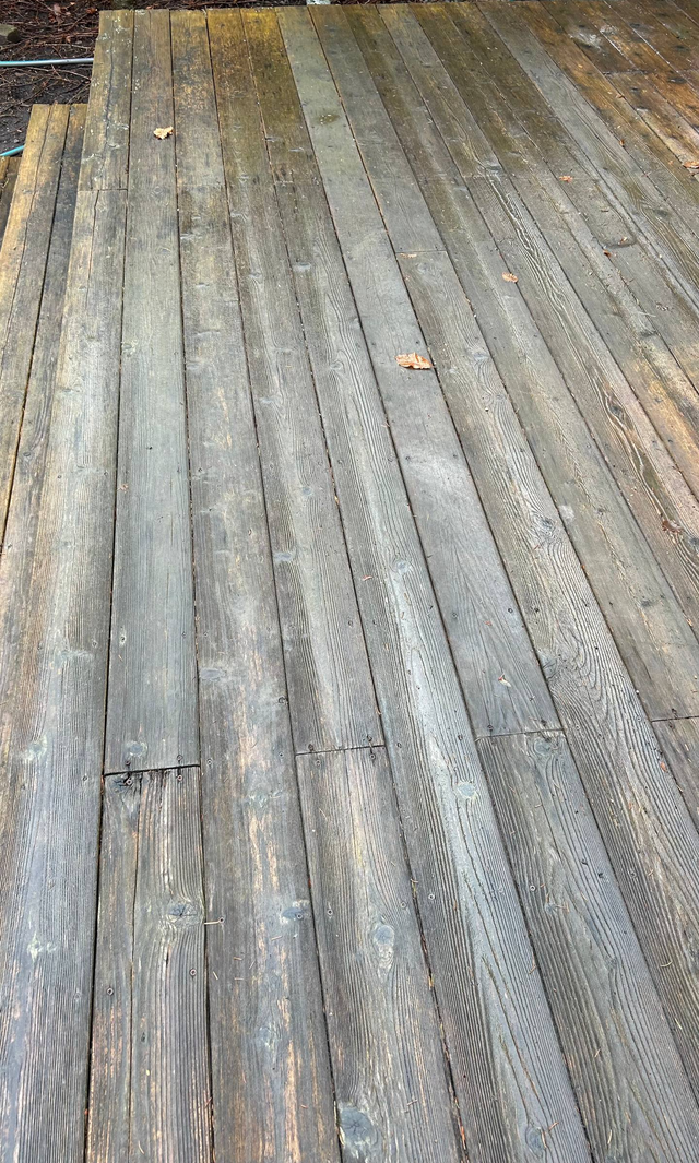 Deep Cleaning Driveway & Backyard (2-Step Wash) - Photo 2