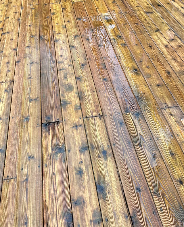 Deep Cleaning Driveway & Backyard (2-Step Wash) - Photo 3