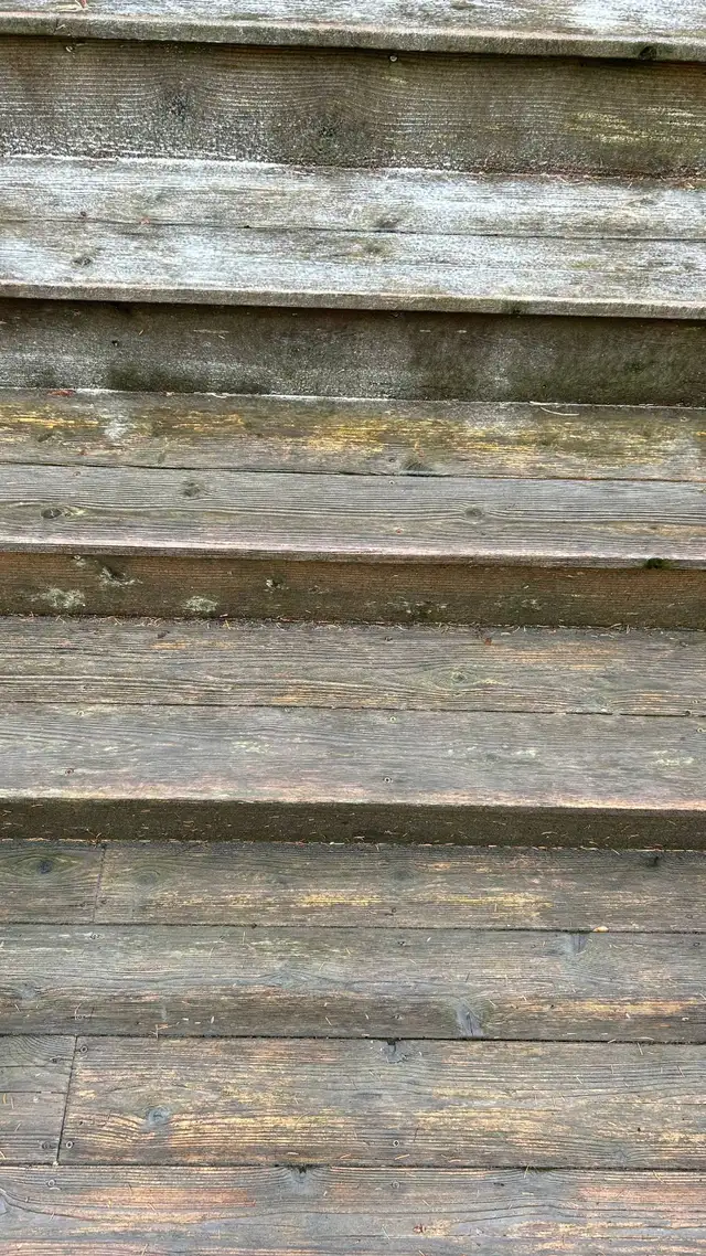 Deep Cleaning Driveway & Backyard (2-Step Wash) - Photo 4