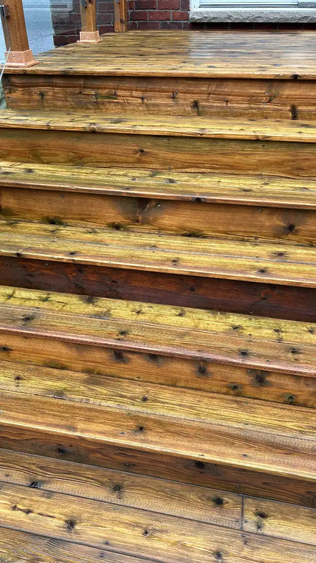 Deep Cleaning Driveway & Backyard (2-Step Wash) - Photo 5