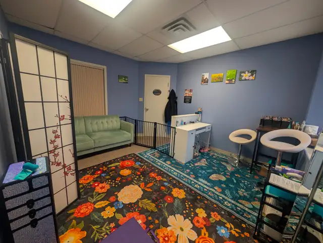 Cosmetic Teeth Cleaning for Pets! - Photo 10