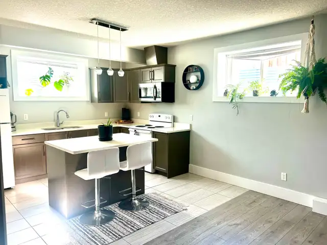 LARGE BASEMENT  :2 Bedroom,  IN suite  Laundry ,  Parking .