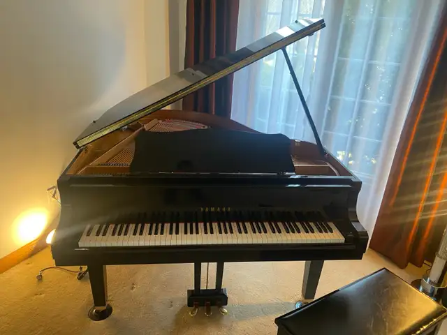 Piano Tuner & Technician - Photo 4