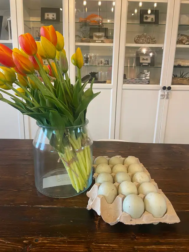 Ancona duck green egg gene hatching eggs