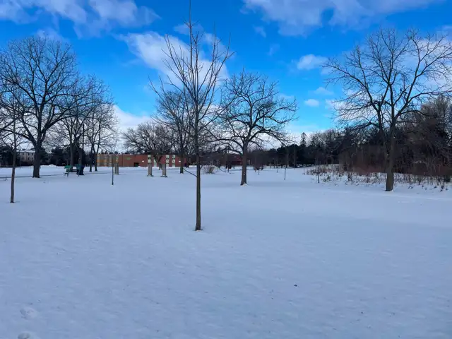 3 bd 2 washroom Corner Unit Townhouse for RENT in Mississauga! - Photo 3