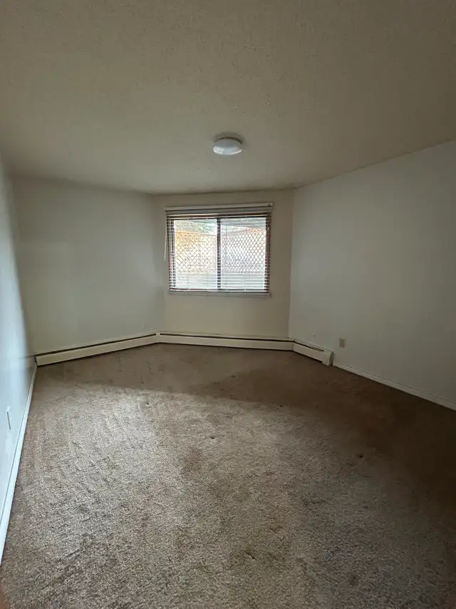 Apartment For Rent  Millwoods - Photo 5