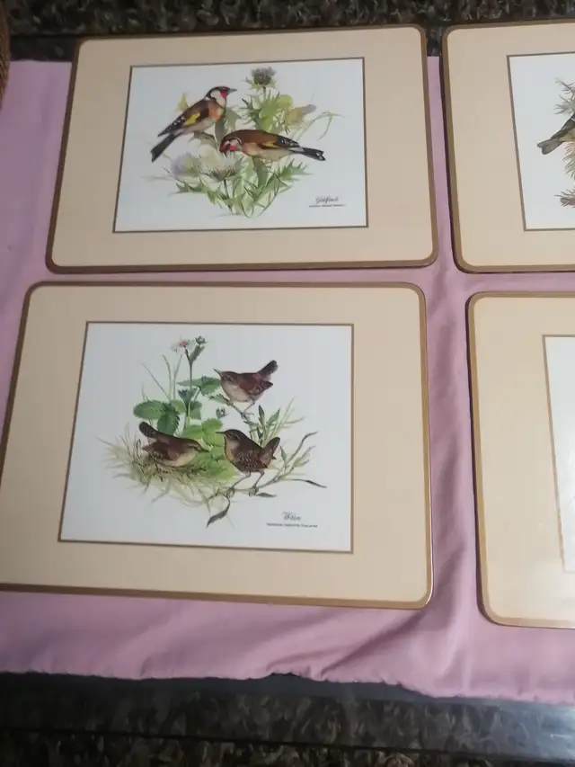 Kitchen placemats have four - Photo 2