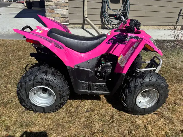 Arctic cat DVX 90 ATV - Photo 2