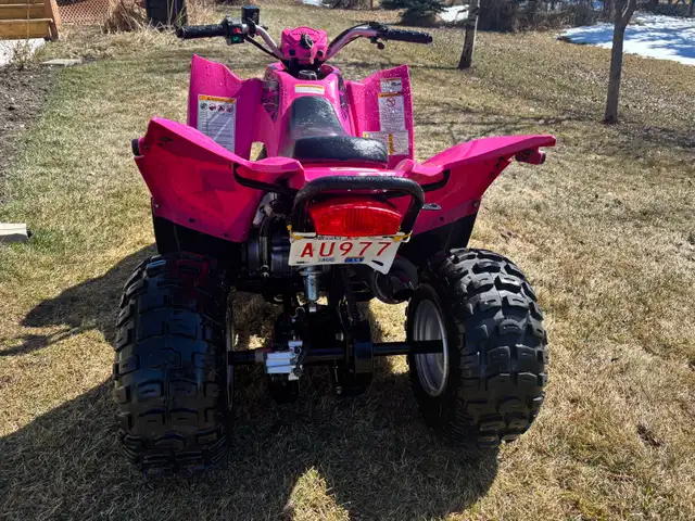 Arctic cat DVX 90 ATV - Photo 3