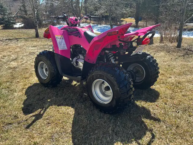 Arctic cat DVX 90 ATV - Photo 4