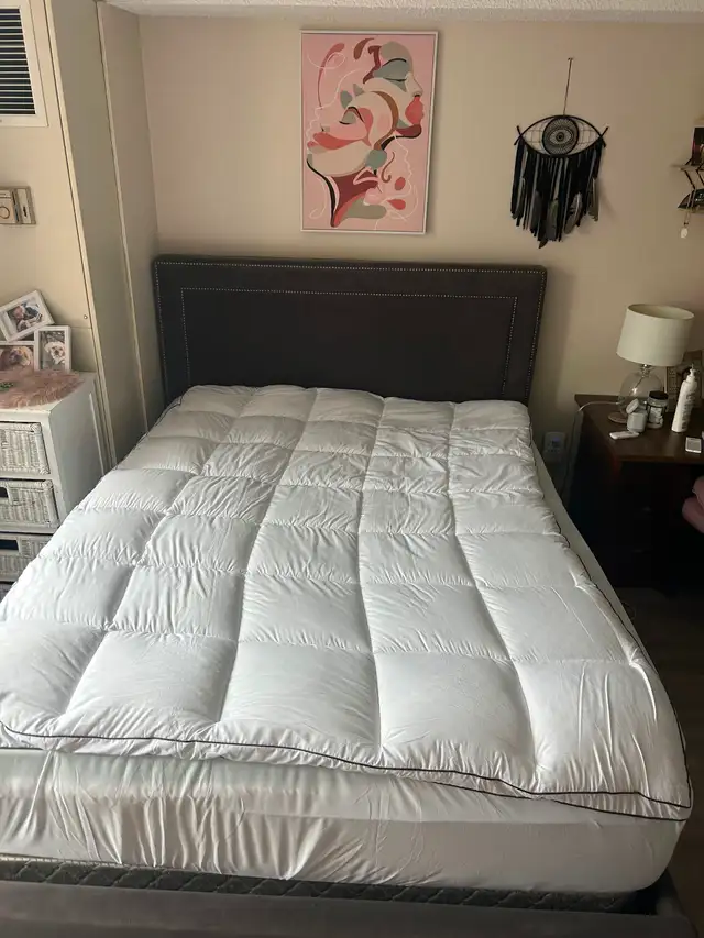 Queen Bed frame & Mattress