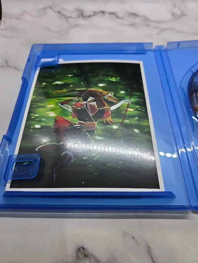 PS5 The Pathless - Photo 3