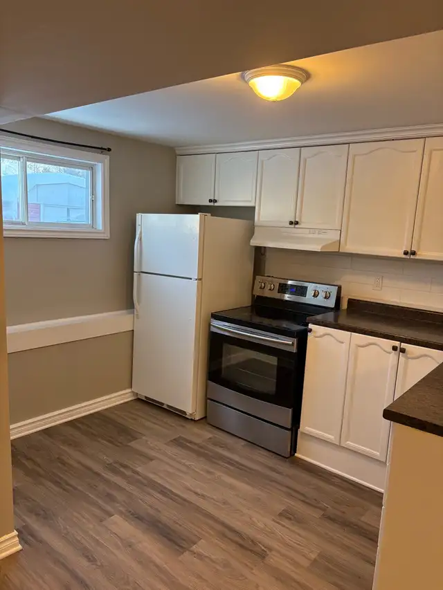 Renovated 2 Bedroom/ 1 Full Bathroom Unit Close To Kitchene - Photo 2