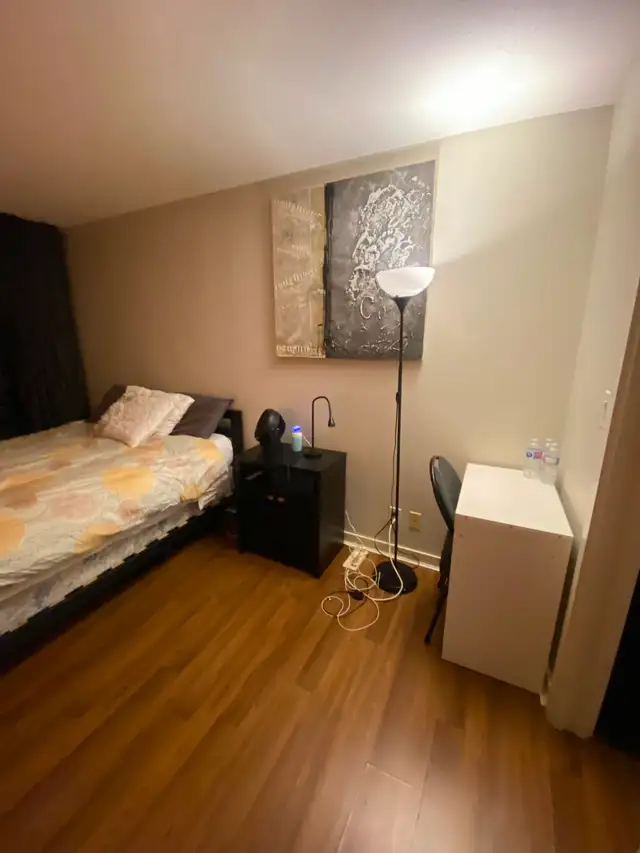 Roommate needed/ large master bedroom - Photo 5