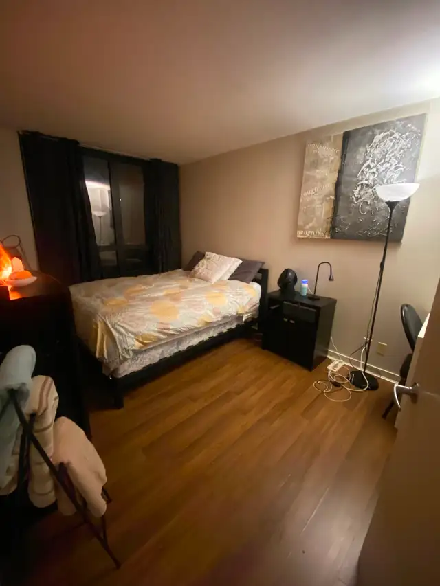 Roommate needed/ large master bedroom - Photo 6