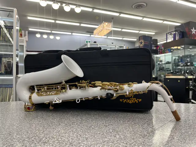 Glory White Laquer E Flat Alto Saxophone - Photo 3