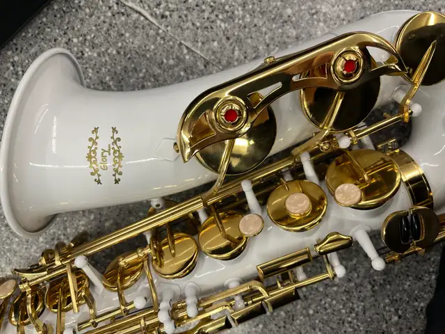 Glory White Laquer E Flat Alto Saxophone - Photo 4