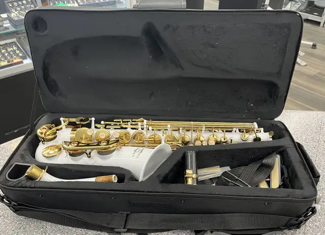 Glory White Laquer E Flat Alto Saxophone - Photo 5