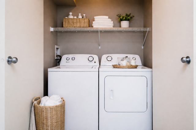 SPACIOUS 3 Bedroom Apartment In Steinbach! Move In Ready! - Photo 8